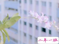 最新微信经典说说带图片 句句经典穿透人心