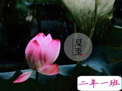 2019夏至说说短语带图片 夏至qq空间唯美说说大全