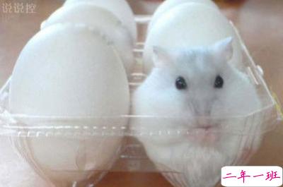 QQ逗比说说带图片5