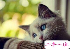 朋友圈搞笑说说配图：老师，你看上哪个家长就直说，别老开家长会