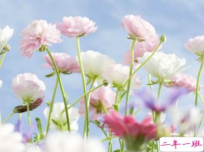 很现实的人生感悟经典句子 人生感悟句句精辟带图片14