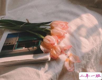 微信励志短句精辟带图片 今年最火的励志说说6