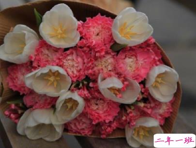 朋友圈早安激励语带图片 励志早安心语配图9