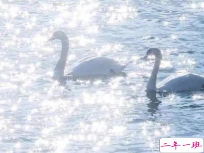 朋友圈早安激励语带图片 励志早安心语配图12