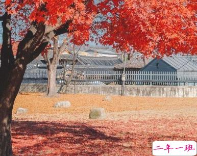 微信励志短句精辟带图片 今年最火的励志说说13