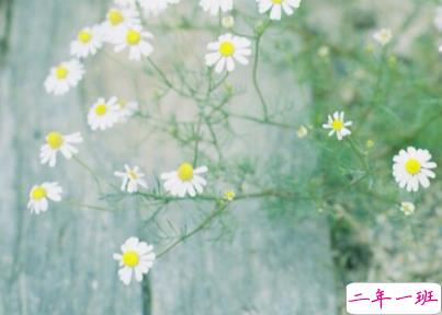 朋友圈早安励志句子带图片 每日一句早安问候语1