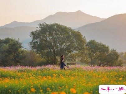 朋友圈早安励志句子带图片 每日一句早安问候语5