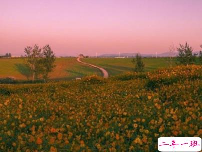 朋友圈早安励志句子带图片 每日一句早安问候语9