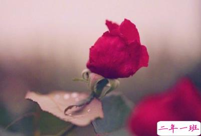 朋友圈早安励志句子带图片 每日一句早安问候语10