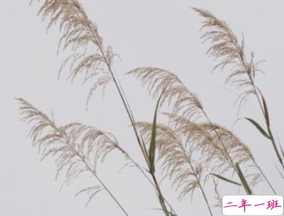 朋友圈暖心励志句子大全带图片 让人觉得温暖的话语2