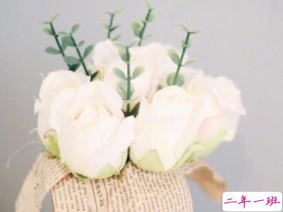 2019十一月你好微博说说配图 元气满满的句子阳光励志3