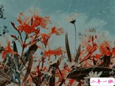 朋友圈暖心励志句子大全带图片 让人觉得温暖的话语3