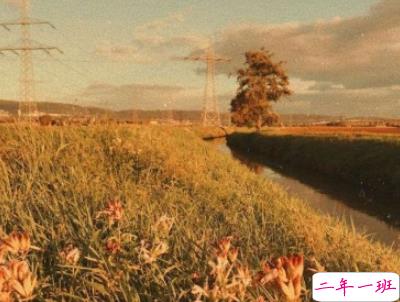 朋友圈暖心励志句子大全带图片 让人觉得温暖的话语5