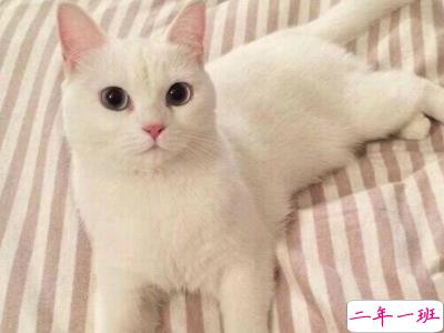 2019十一月你好微博说说配图 元气满满的句子阳光励志7