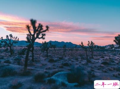 2019十一月你好微博说说配图 元气满满的句子阳光励志8