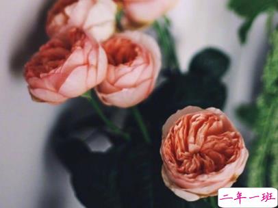 2019十一月你好微博说说配图 元气满满的句子阳光励志9