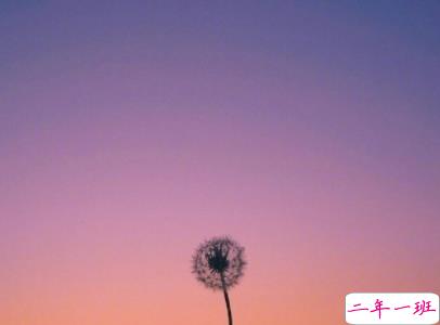 2019十一月你好微博说说配图 元气满满的句子阳光励志10