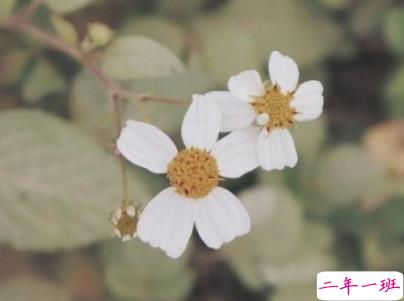 朋友圈暖心励志句子大全带图片 让人觉得温暖的话语10