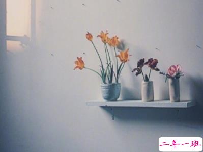 2019十一月你好微博说说配图 元气满满的句子阳光励志11