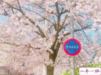 朋友圈暖心励志句子大全带图片 让人觉得温暖的话语12