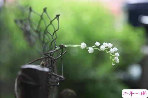 对爱一往情深的经典说说带图片 文艺爱情小短句表达爱意5