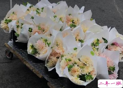 让自己励志的句子图片 对他人减少依赖降低期待爱自己1