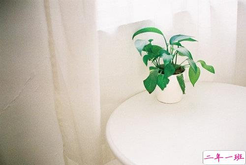 2019最新qq经典说说带图片 句句真理值得学习的说说4