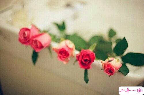 抖音最火经典说说致自己 最新个人说说经典励志带图片5