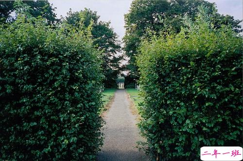 抖音最火经典说说致自己 最新个人说说经典励志带图片8