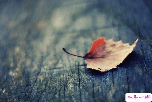 2019最新qq经典说说带图片 句句真理值得学习的说说14