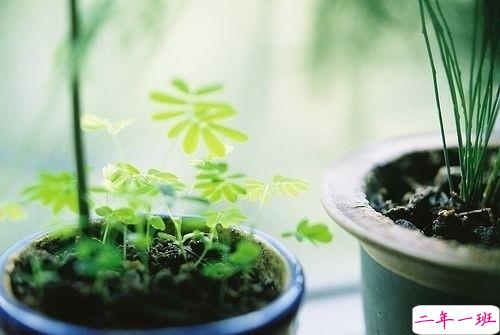 2019最新qq经典说说带图片 句句真理值得学习的说说15