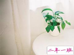 2019最新qq经典说说带图片 句句真理值得学习的说说