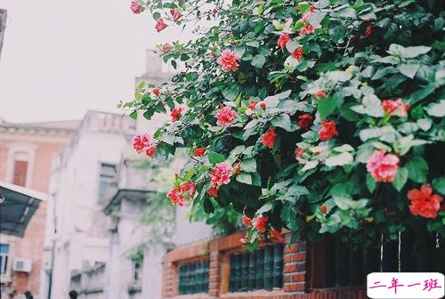 2019最新经典说说给人希望 激励人心的经典说说带图片4