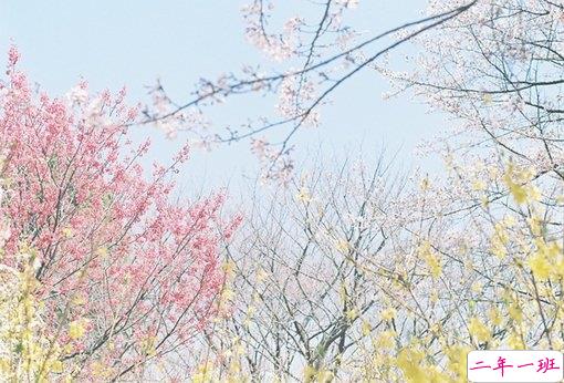 2019最新经典说说给人希望 激励人心的经典说说带图片9