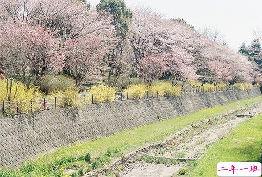 2019最新经典说说给人希望 激励人心的经典说说带图片13