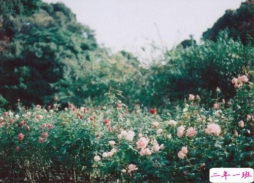 2019微信超文艺说说加配图 很流行的文艺范经典说说大全1