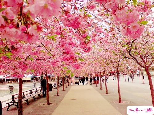 2019富有哲理的说说句子合集 看清了一些人和事的说说很经典11