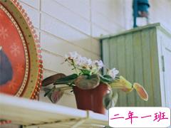 很特别的微信说说带图片独一无二 15条值得收藏的经典句子