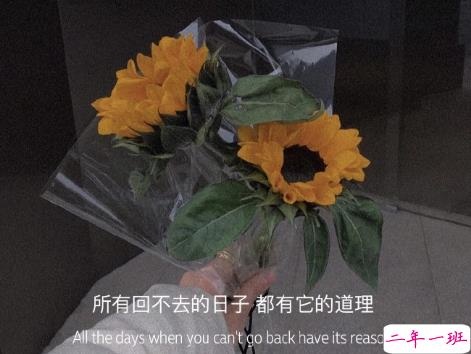 揭穿人生真相的经典句子 值得深思的精辟语录7