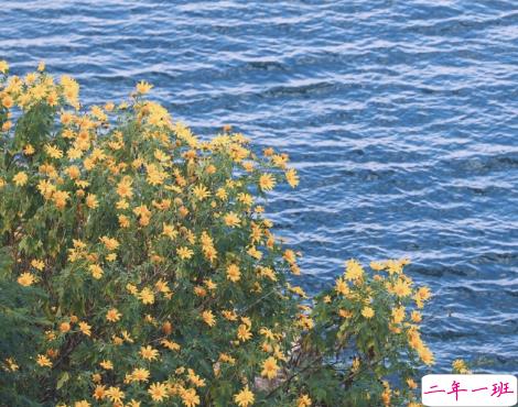 揭穿人生真相的经典句子 值得深思的精辟语录12