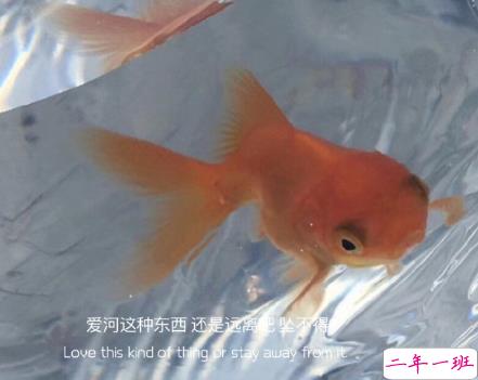 2021年超级励志句子 给2021年带来动力的句子12