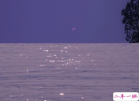 揭穿人生真相的经典句子 值得深思的精辟语录14