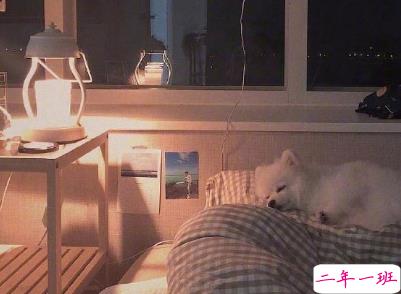 很有哲理的励志说说带图片 2021正能量的经典说说8