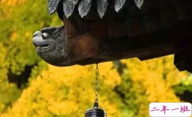 写给自己的人生励志名言语录 每个人都有他与生俱来的特质2