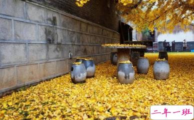 写给自己的人生励志名言语录 每个人都有他与生俱来的特质3