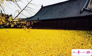 写给自己的人生励志名言语录 每个人都有他与生俱来的特质4