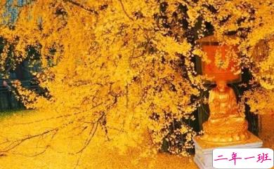 写给自己的人生励志名言语录 每个人都有他与生俱来的特质5