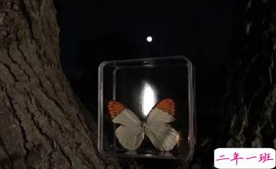 写给自己的人生励志名言语录 每个人都有他与生俱来的特质10