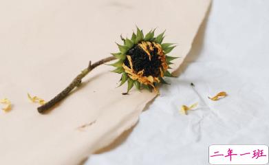 写给自己的人生励志名言语录 每个人都有他与生俱来的特质14