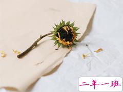 写给自己的人生励志名言语录 每个人都有他与生俱来的特质